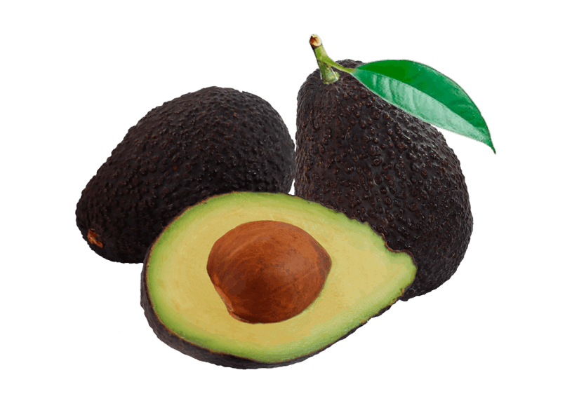 Avocado Hass