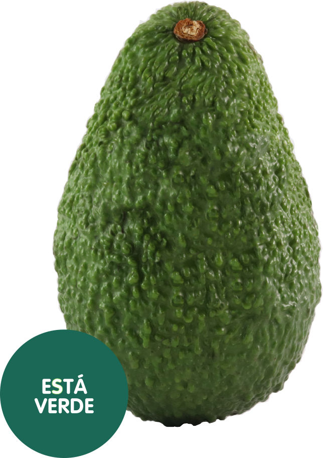 Avocado Está Verde