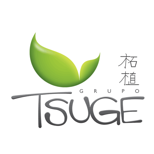 Avocado Tsuge Grup